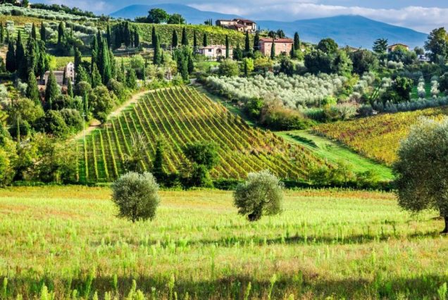 day trip from Rome to Tuscany
